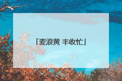 麦浪黄 丰收忙